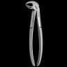 Tooth Forceps N.33-L