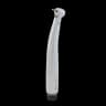  Dentonic A